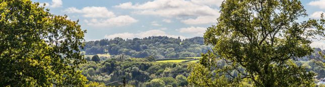 Eridge view